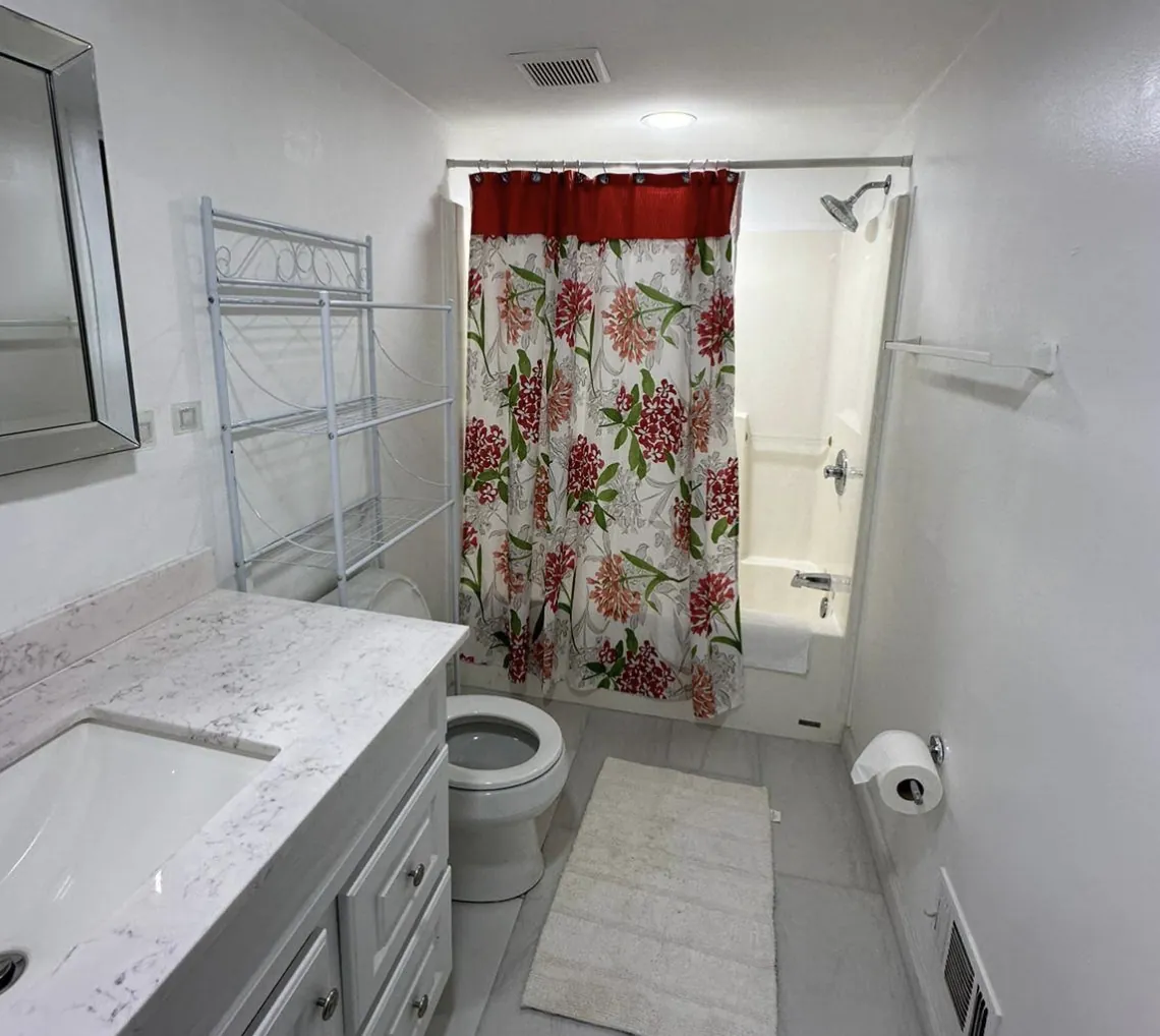 Bathroom with a stone-top vanity, toilet and tub with shower curtain